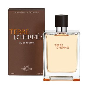 HERMES TERRE D'HERMES EDT 100ML