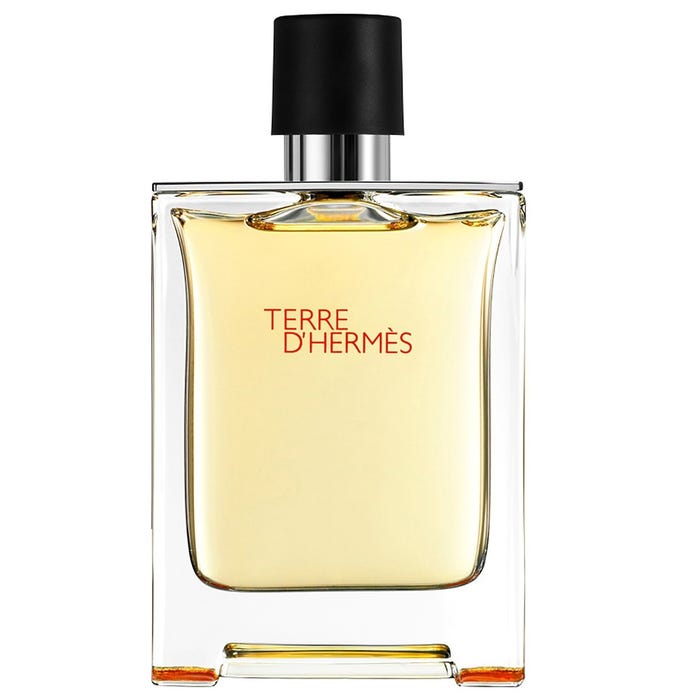 HERMES TERRE D'HERMES EDT 100ML - Imagen 2